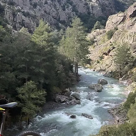 빌라 Vallee D'asco Moltifao