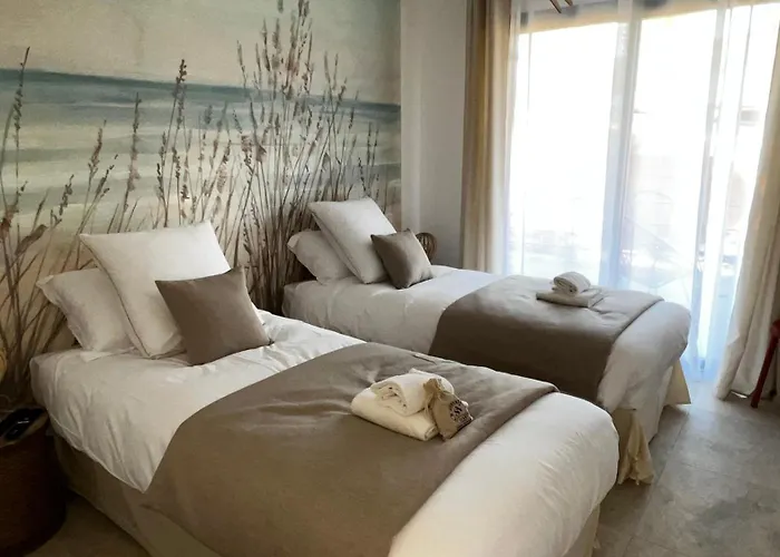 Vallee D'asco * Moltifao