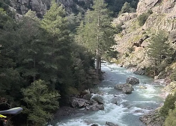 Villa Vallee D'asco Moltifao