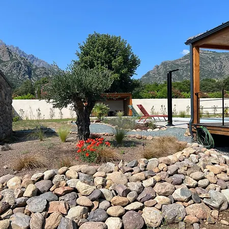 Vallee D'asco