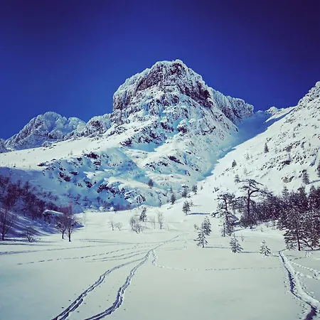 Vallée D'asco Moltifao