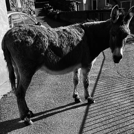 Vallee D'asco Βίλα *