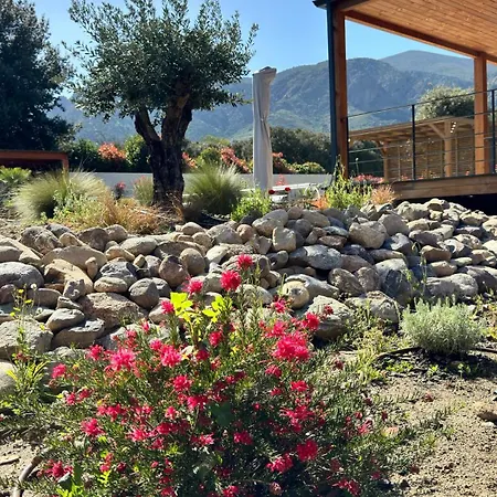 Vallee D'asco Villa Moltifao