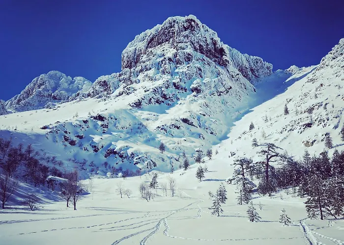 Vallée D'asco Moltifao