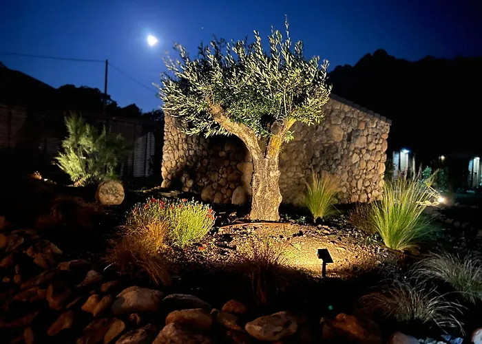 Vallée D'asco * Moltifao